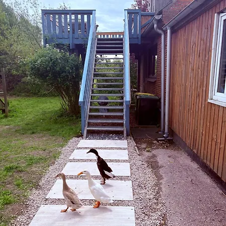 Schwalbennest Flensburger Foerde Westerholz