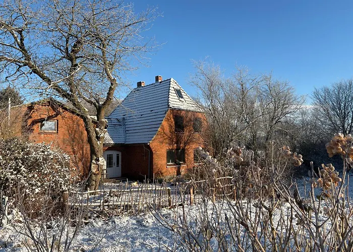 Schwalbennest Flensburger Foerde