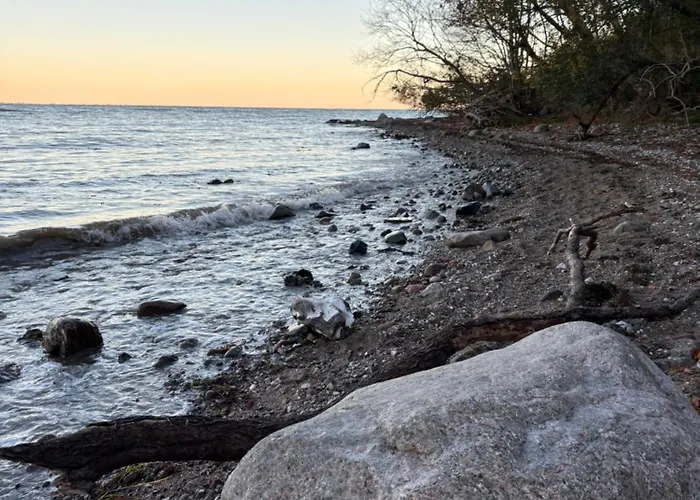Schwalbennest Flensburger Foerde